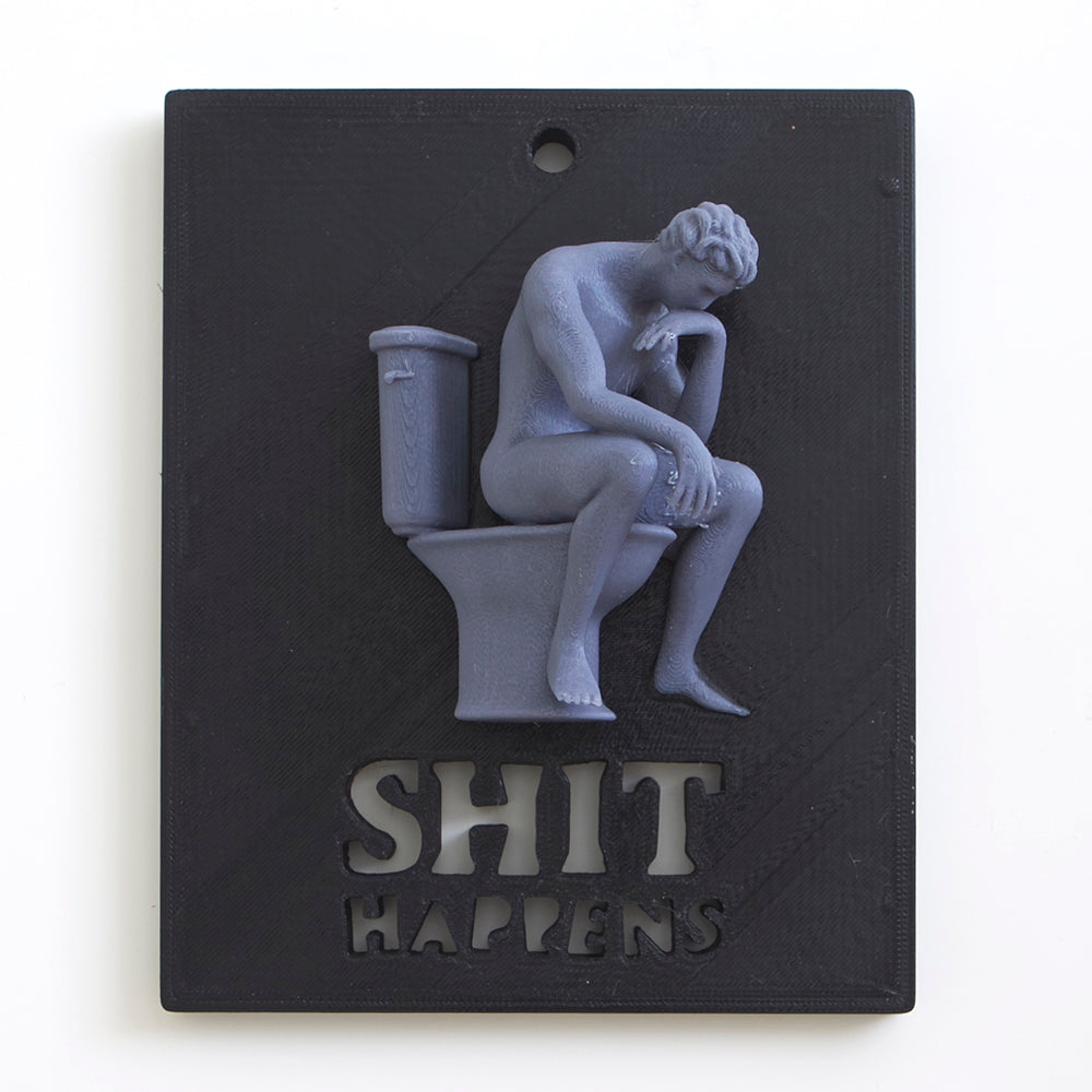 „Sh*t Happens“ – Humoristisches WC-Wandschild (3D-Druck, Relief)
